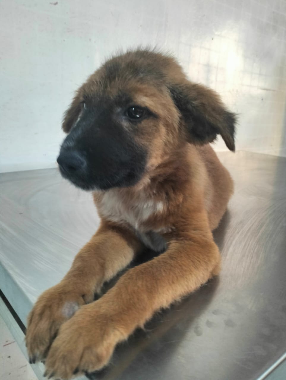 🌼 SPONSORED! | MEET LENA 🌼
